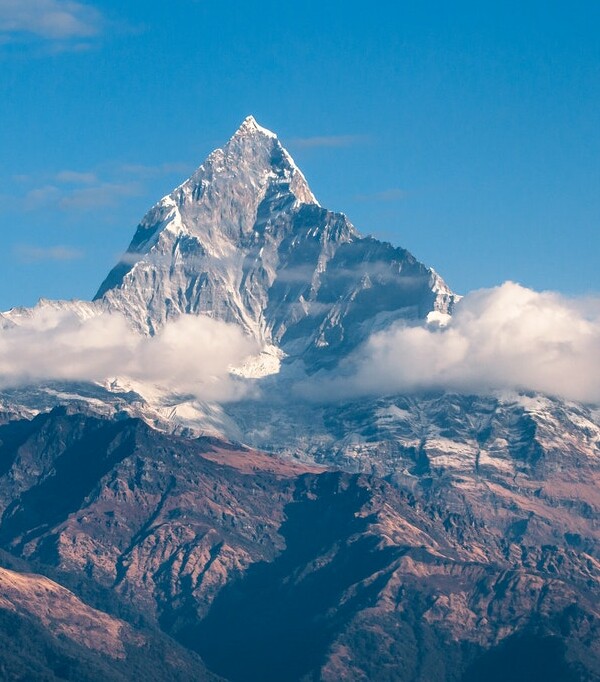 This is the meta data field of the image