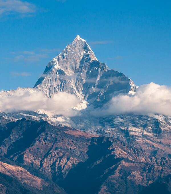 This is the meta data field of the image