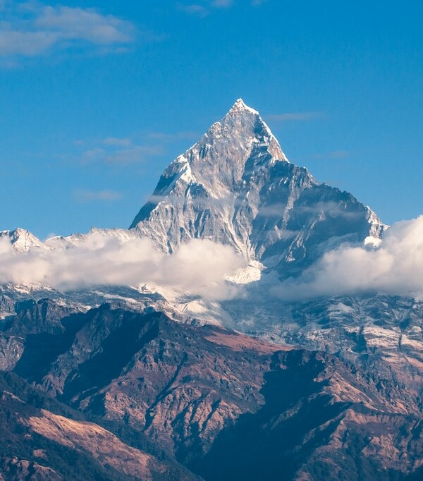 This is the meta data field of the image