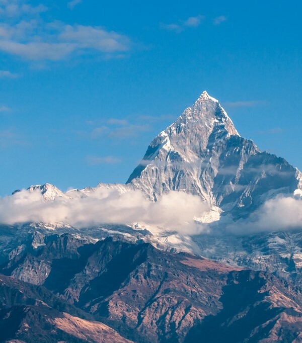 This is the meta data field of the image