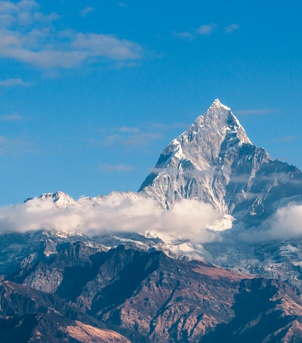 This is the meta data field of the image